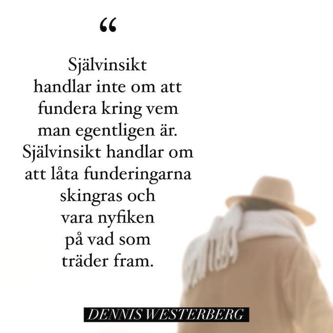 Självinsikt