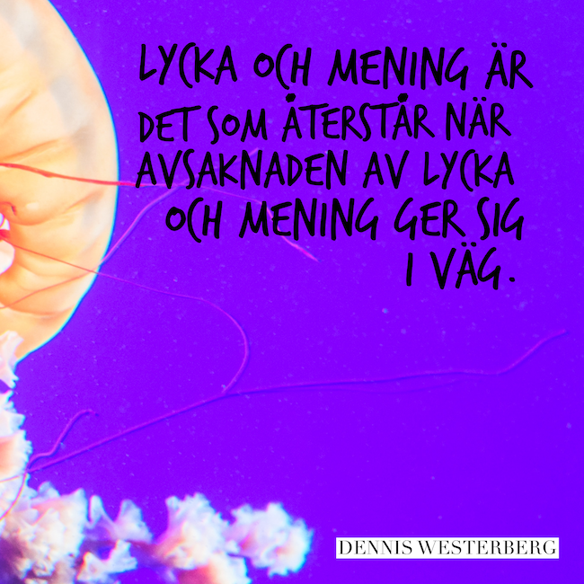 Lycka och mening