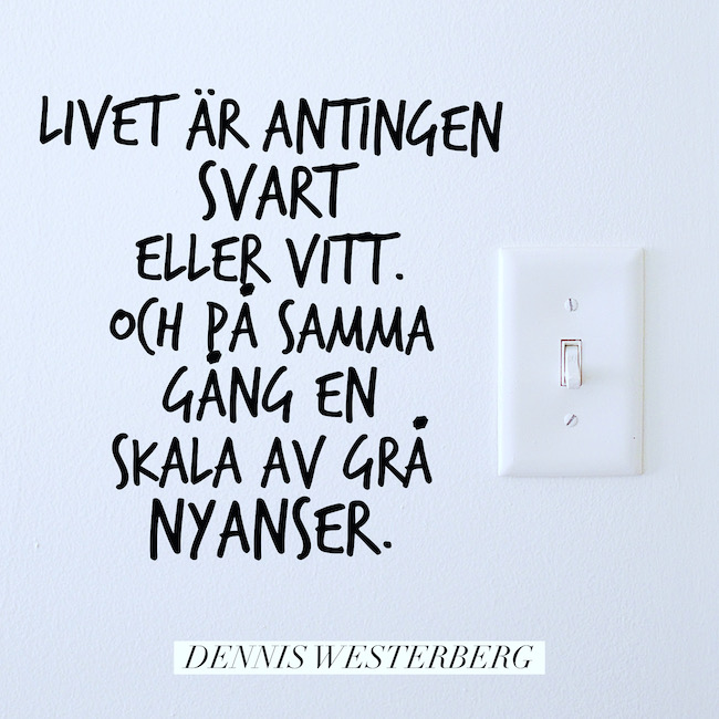 Svart eller vitt och både och