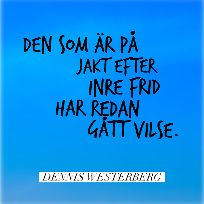 På jakt