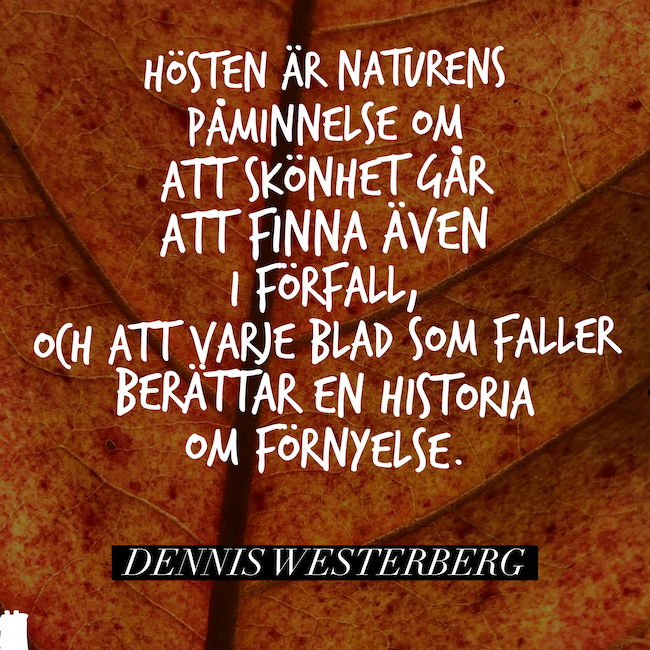 Förfall och förnyelse